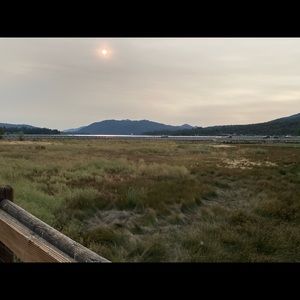 Brand New Nike Lakers Jacket